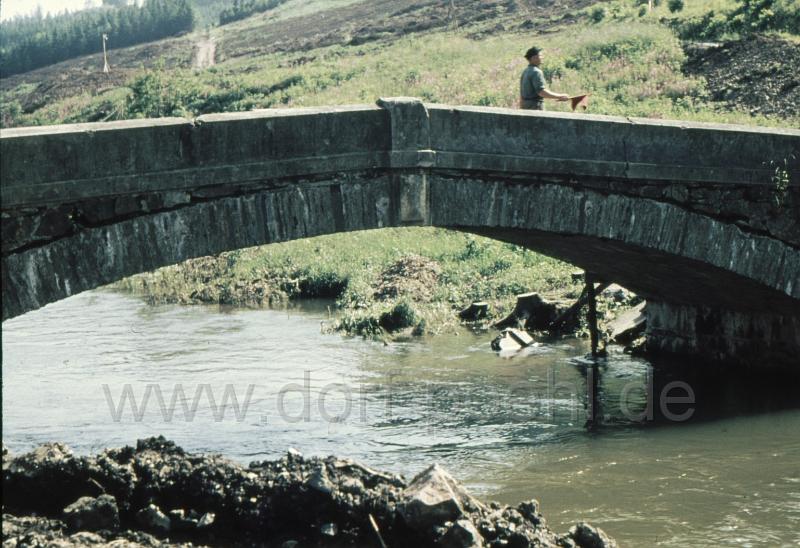 neu1 (4).jpg - Brücke über die Trieb am Pöhler Hammer kurz vor der Sprengung